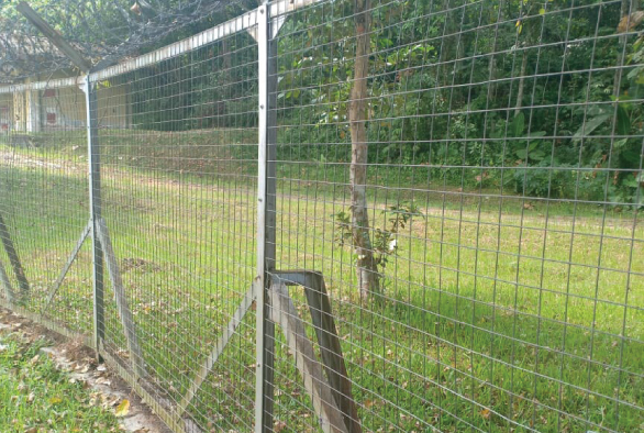 wiremesh2